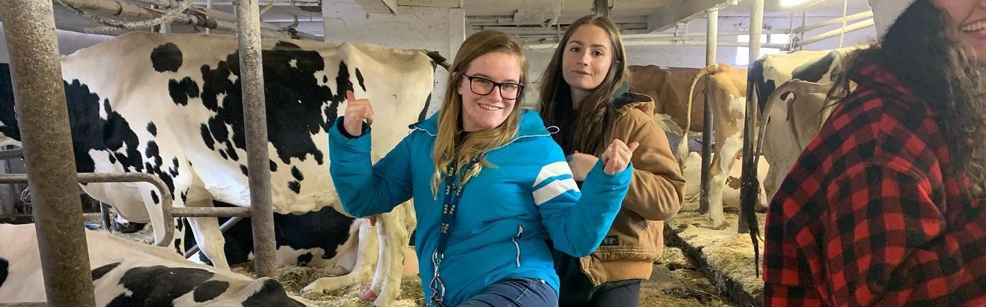 students in a tie stall barn