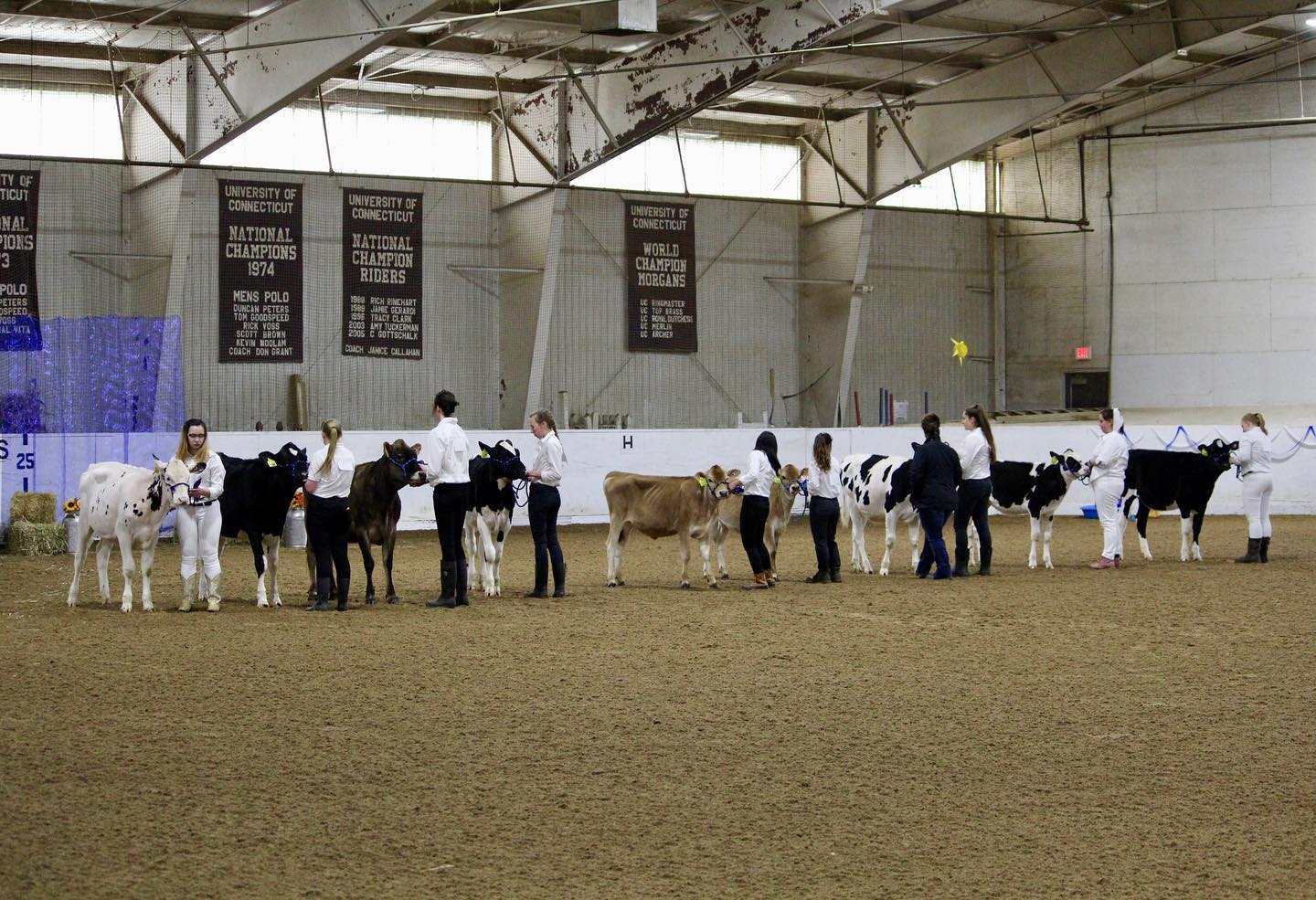 Annual UConn Dairy Show occurs in the spring. 