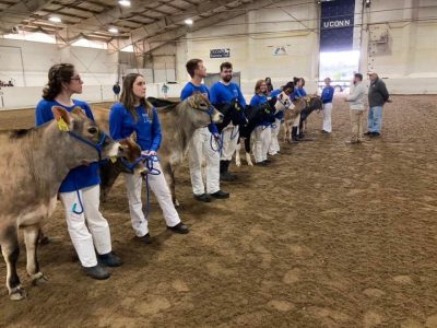 students in line holding their heifers